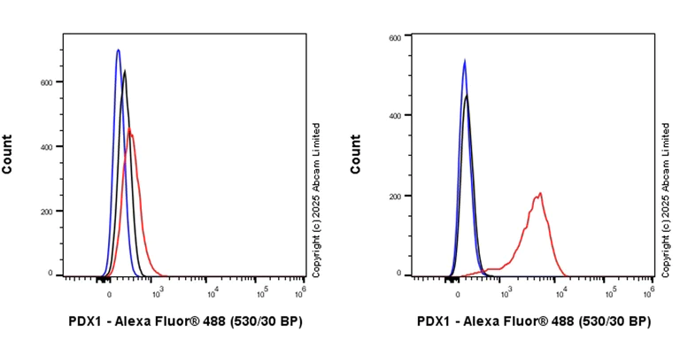 Flow Cytometry (Intracellular) - Anti-PDX1 antibody [RM1269] (AB323218)