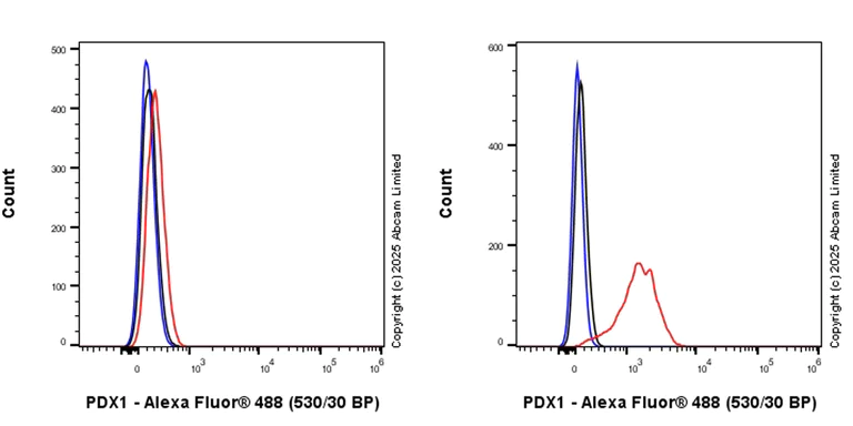 Flow Cytometry (Intracellular) - Anti-PDX1 antibody [RM1269] (AB323218)
