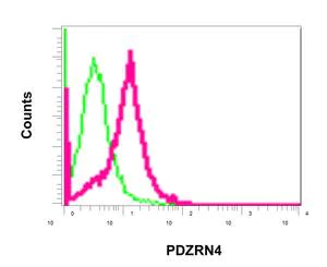 Flow Cytometry (Intracellular) - Anti-PDZRN4 antibody [EPR11852] (AB171083)