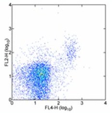 Flow Cytometry - PE Anti-2B4 antibody [244F4] (AB95807)