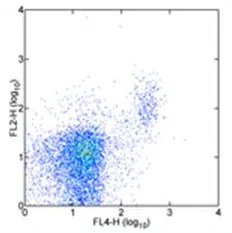 Flow Cytometry - PE Anti-2B4 antibody [244F4] (AB95807)