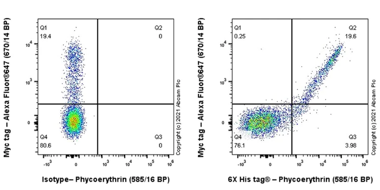 Flow Cytometry (Intracellular) - PE Anti-6X His tag® antibody [EPR20547] (AB237338)