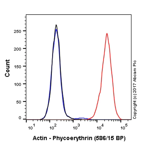 Flow Cytometry (Intracellular) - PE Anti-Actin antibody [EPR16875] - Cytoskeleton Marker (AB223461)