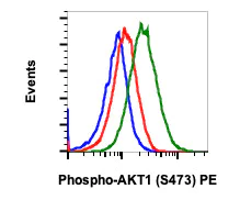 Flow Cytometry - PE Anti-AKT1 (phospho S473) antibody [AktS473-B9] (AB278560)
