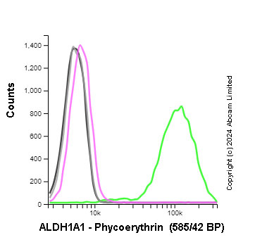 Flow Cytometry (Intracellular) - PE Anti-ALDH1A1 antibody [EP1933Y] (AB209437), expandable thumbnail