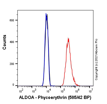 Flow Cytometry (Intracellular) - PE Anti-Aldolase antibody [EPR23181-39] (AB275163), expandable thumbnail