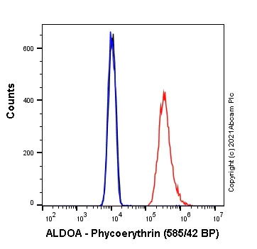 Flow Cytometry (Intracellular) - PE Anti-Aldolase antibody [EPR23181-39] (AB275163)