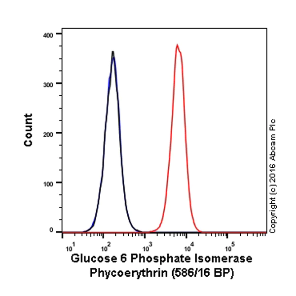 Flow Cytometry (Intracellular) - PE Anti-AMF antibody [EPR11663(B)] (AB210599)