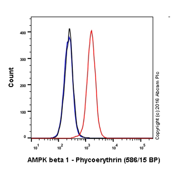 Flow Cytometry (Intracellular) - PE Anti-AMPK beta 1 antibody [Y367] (AB211688), expandable thumbnail