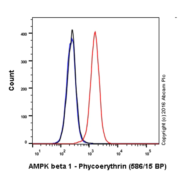 Flow Cytometry (Intracellular) - PE Anti-AMPK beta 1 antibody [Y367] (AB211688)