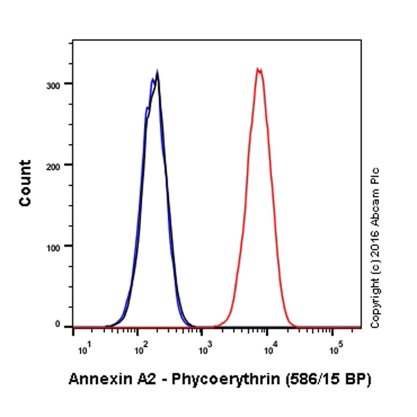 Flow Cytometry (Intracellular) - PE Anti-Annexin-2/ANXA2 antibody [EPR13052(B)] (AB210729)