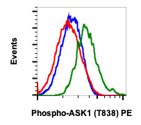 Flow Cytometry - PE Anti-ASK1 (phospho T838) antibody [Ask1T838-8D12] (AB278645), expandable thumbnail