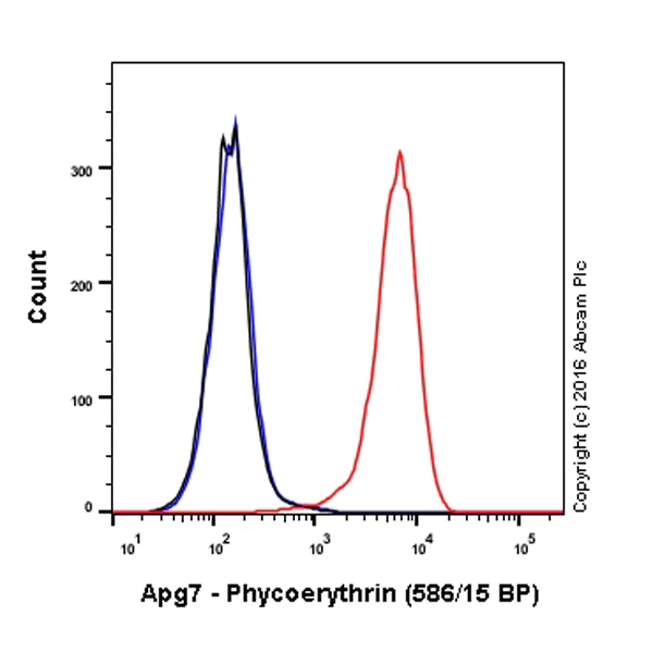 Flow Cytometry (Intracellular) - PE Anti-ATG7 antibody [EP1759Y] (AB211584)