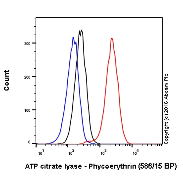 Flow Cytometry (Intracellular) - PE Anti-ATP citrate lyase antibody [EP704Y] (AB209750)