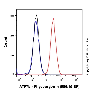 Flow Cytometry (Intracellular) - PE Anti-ATP7b antibody [EPR6794] (AB211985)