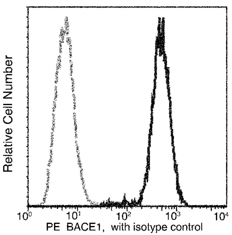 Flow Cytometry (Intracellular) - PE Anti-BACE1 antibody [027] (AB275651), expandable thumbnail