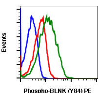 Flow Cytometry - PE Anti-BLNK (phospho Y84) antibody [BLNKY84-H4] (AB278595), expandable thumbnail