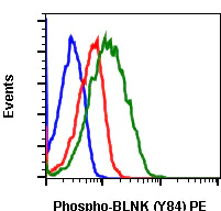 Flow Cytometry - PE Anti-BLNK (phospho Y84) antibody [BLNKY84-H4] (AB278595)