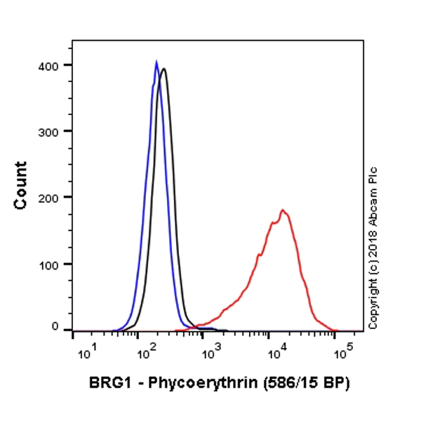Flow Cytometry (Intracellular) - PE Anti-BRG1 antibody [EPNCIR111A] (AB225124)