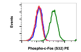 Flow Cytometry - PE Anti-c-Fos (phospho S32) antibody [cFosS32-BA9] (AB278657)
