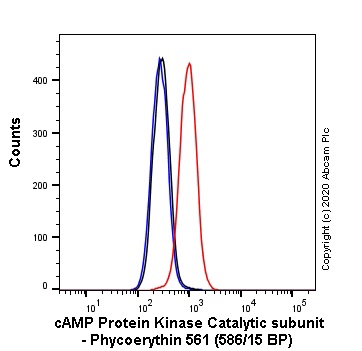 Flow Cytometry (Intracellular) - PE Anti-cAMP Protein Kinase Catalytic subunit antibody [EP2102Y] (AB252099)