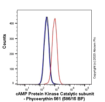 Flow Cytometry (Intracellular) - PE Anti-cAMP Protein Kinase Catalytic subunit antibody [EP2102Y] (AB252099)
