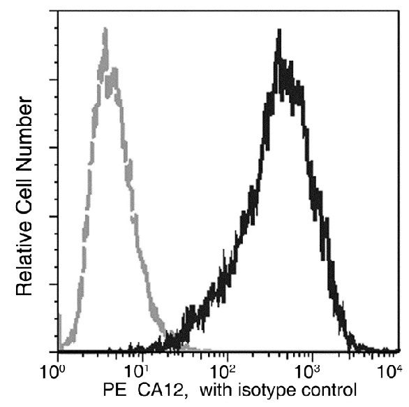 Flow Cytometry - PE Anti-Carbonic Anhydrase 12/CA12 antibody [11] (AB275577), expandable thumbnail