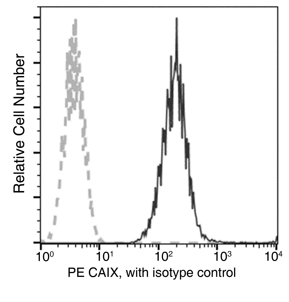 Flow Cytometry - PE Anti-Carbonic Anhydrase 9/CA9 antibody [053] (AB275578), expandable thumbnail