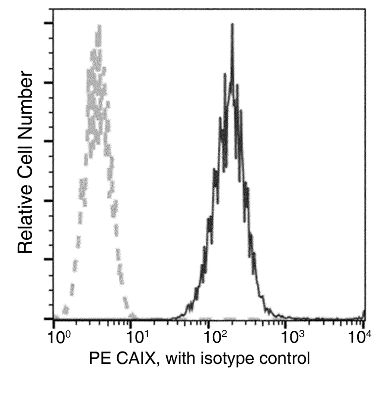 Flow Cytometry - PE Anti-Carbonic Anhydrase 9/CA9 antibody [053] (AB275578)