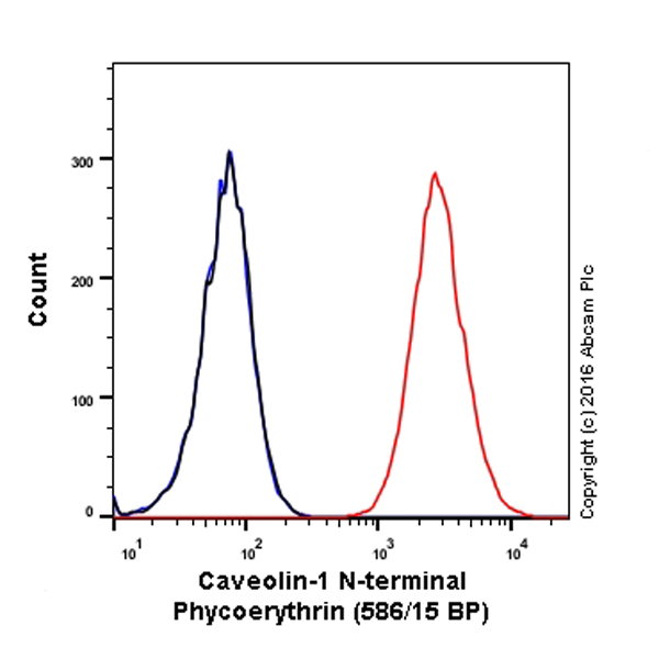 Flow Cytometry (Intracellular) - PE Anti-Caveolin-1 antibody [EPR15554] - N-terminal - Caveolae Marker (AB212007), expandable thumbnail
