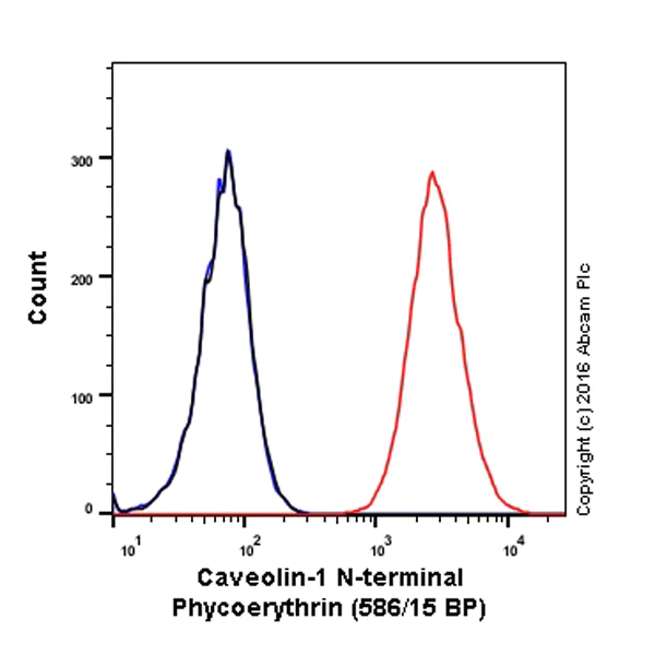 Flow Cytometry (Intracellular) - PE Anti-Caveolin-1 antibody [EPR15554] - N-terminal - Caveolae Marker (AB212007)