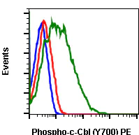 Flow Cytometry - PE Anti-CBL (phospho Y700) antibody [CblY700-E1] (AB278761)