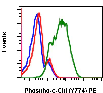 Flow Cytometry - PE Anti-CBL (phospho Y774) antibody [CblY774-R3B8] (AB278602)