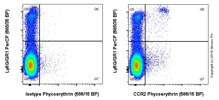 Flow Cytometry - PE Anti-CCR2 antibody [EPR20844] (AB245899)