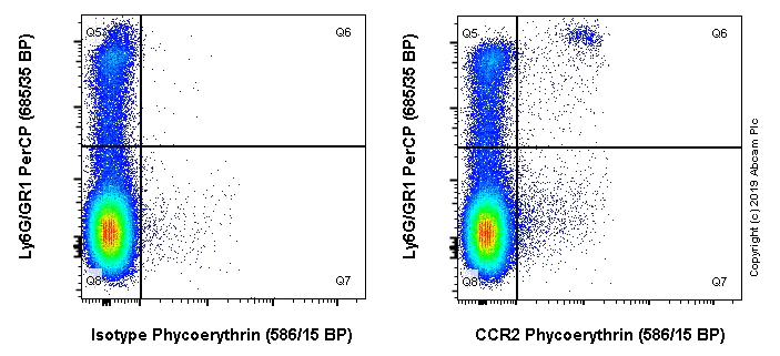 Flow Cytometry - PE Anti-CCR2 antibody [EPR20844] (AB245899)