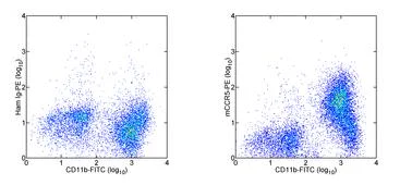 Flow Cytometry - PE Anti-CCR5 antibody [HM-CCR5(7A4)] (AB95662)