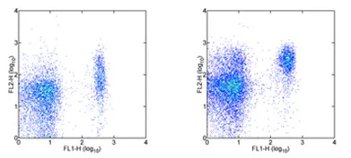 Flow Cytometry - PE Anti-CCR7 antibody [4B12] (AB95669)