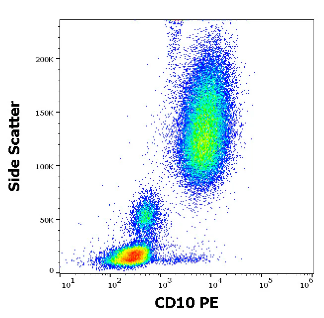 Flow Cytometry - PE Anti-CD-10 antibody [MEM-78] (AB326500)