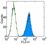 Flow Cytometry - PE Anti-CD105 antibody [MJ7/18] (AB93567)