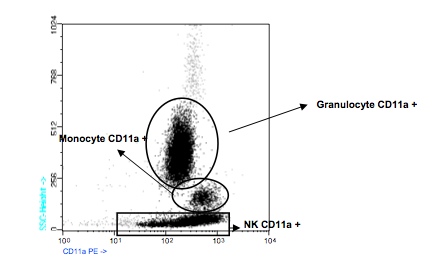 Flow Cytometry - PE Anti-CD11a antibody [TP1/40] (AB91255)