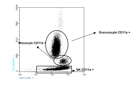 Flow Cytometry - PE Anti-CD11a antibody [TP1/40] (AB91255)