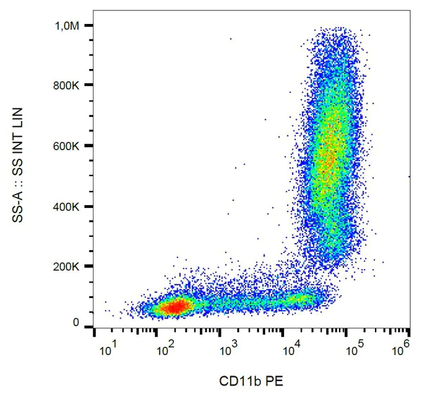 Flow Cytometry - PE Anti-CD11b antibody [MEM-174] (AB28101)