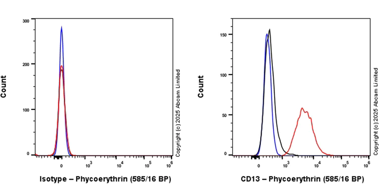Flow Cytometry - PE Anti-CD13 antibody [EPR27472-288] (AB323783)