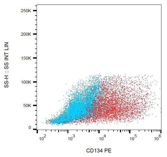 Flow Cytometry - PE Anti-CD134 / OX40L receptor antibody [Ber-ACT35] (AB234256)