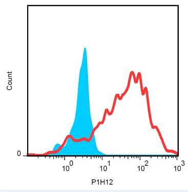 Flow Cytometry - PE Anti-CD146 antibody [P1H12] (AB234280)