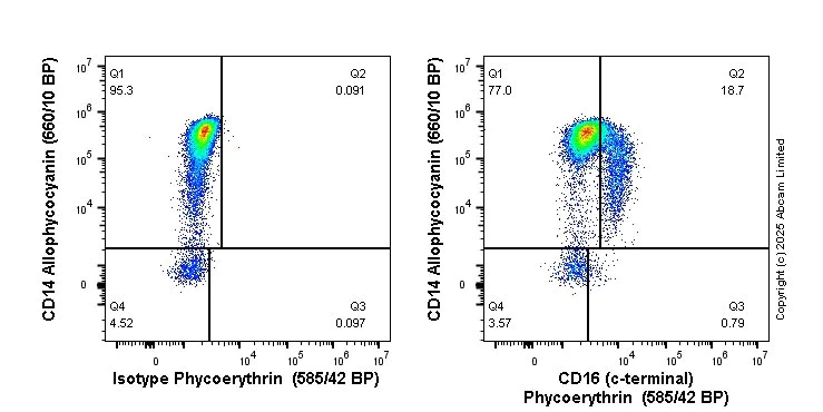 Flow Cytometry (Intracellular) - PE Anti-CD16 antibody [SP189] (C-terminal) (AB306214)