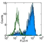 Flow Cytometry - PE Anti-CD163 antibody [GHI/61] (AB95613)