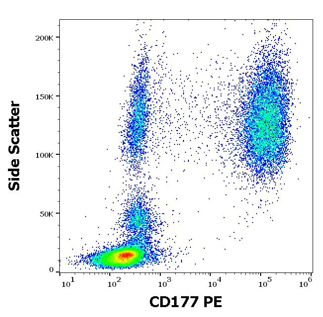 Flow Cytometry - PE Anti-CD177 antibody [MEM-166] (AB69777)