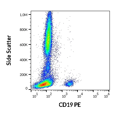 Flow Cytometry - PE Anti-CD19 antibody [4G7] (AB269320)
