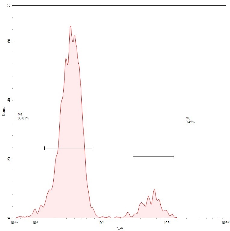 Flow Cytometry - PE Anti-CD19 antibody [CB19] (AB1168)